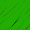 green15.gif